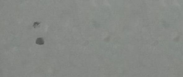 JT-花色66005